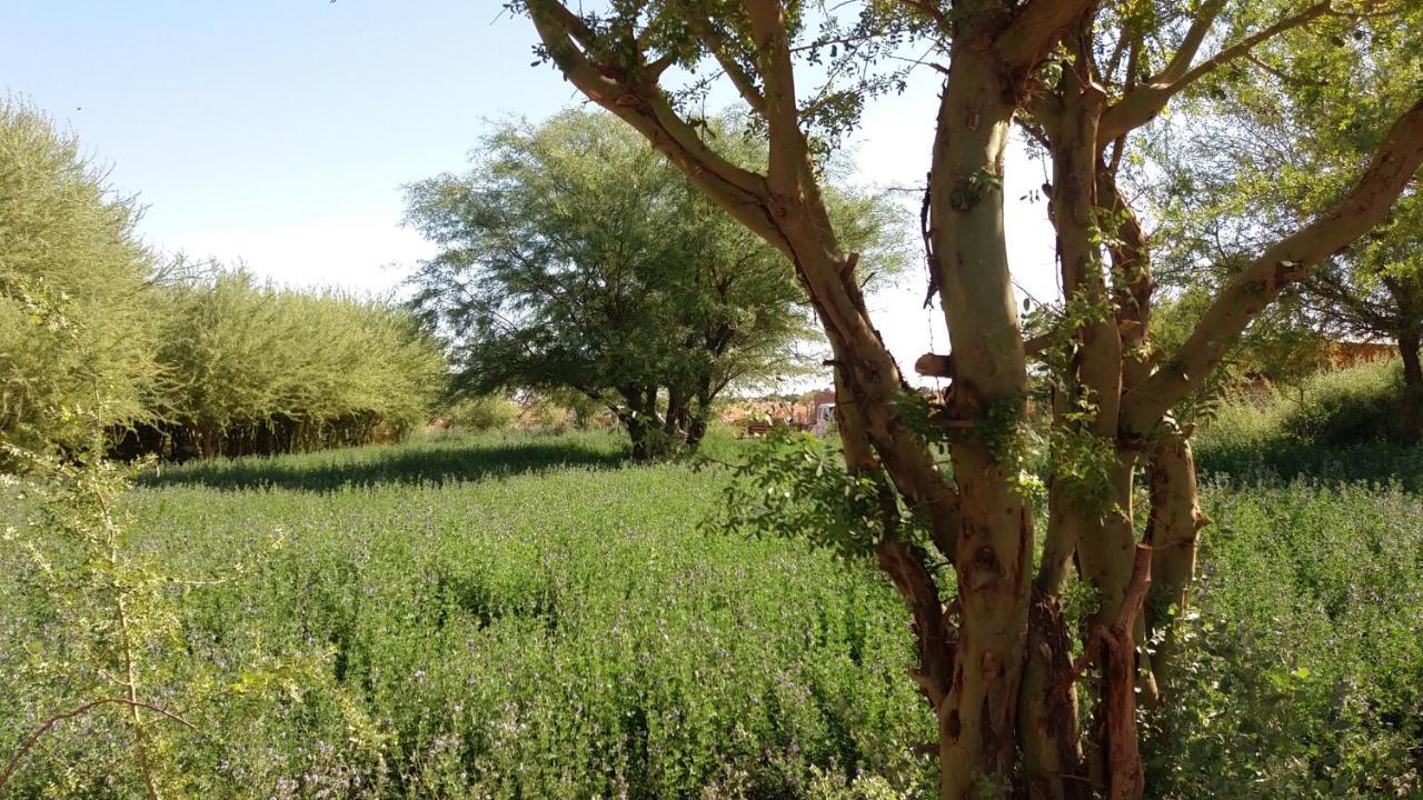 Cabanas El Chanar San Pedro de Atacama Eksteriør bilde
